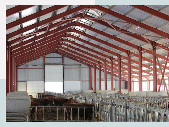 Строительство коровников в Узловой