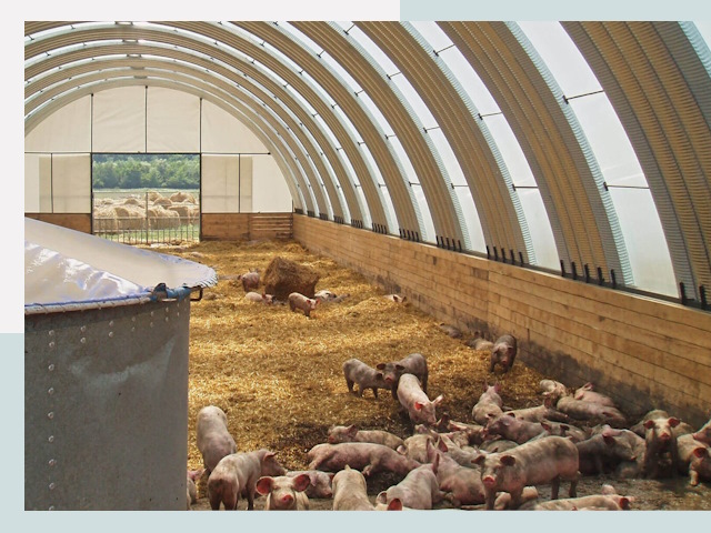 Строительство свинарников в Узловой