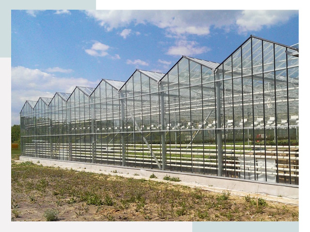Строительство теплиц в Узловая от 611 руб. за м²
