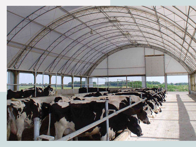 Тентовые коровники в Узловой